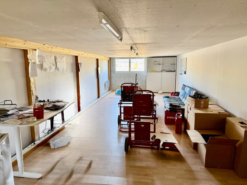 Farvagny Industrial Zone - 50 m2 storage/office space (3)