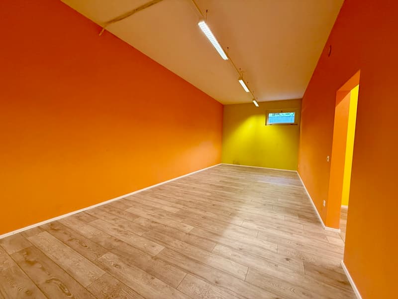 Farvagny Industrial Zone - 330 m2 premises (7)