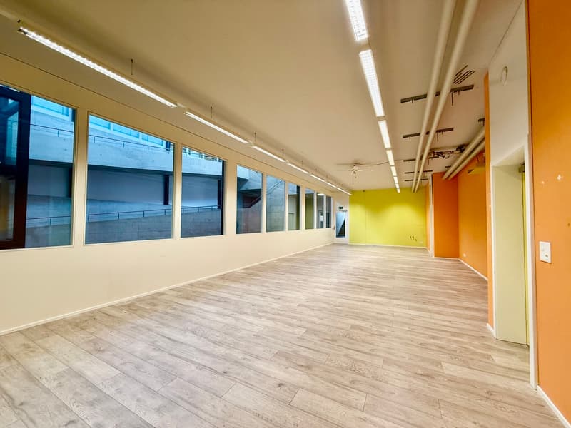 Farvagny Industrial Zone - 330 m2 premises (5)