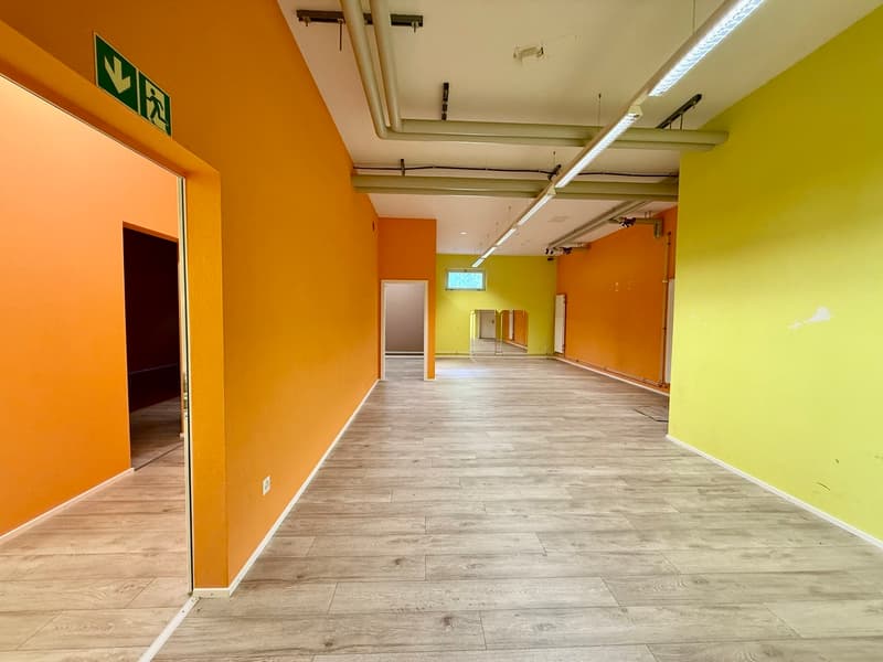 Farvagny Industrial Zone - 330 m2 premises (6)