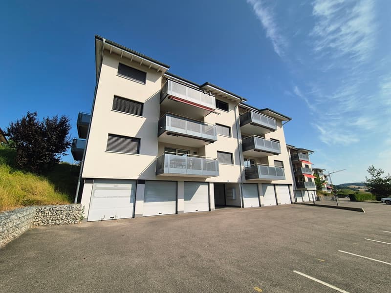 VILLAZ-ST-PIERRE / 2.5 rooms with balcony and washing column (1)
