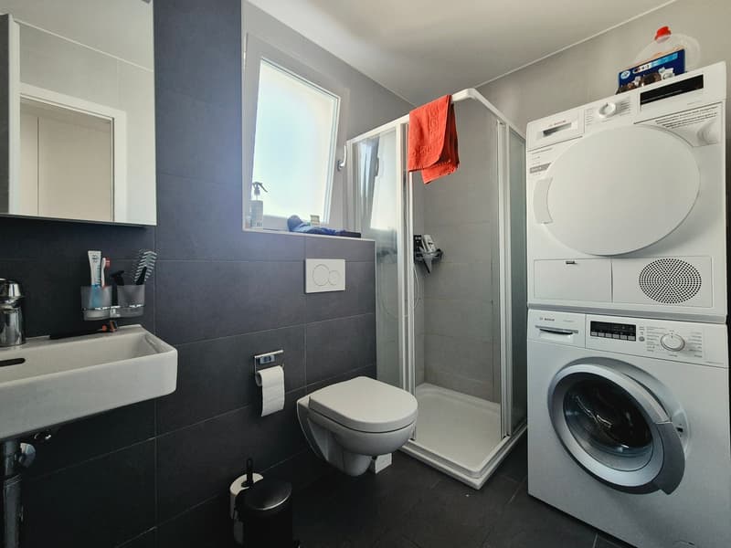 VILLAZ-ST-PIERRE / 2.5 rooms with balcony and washing column (8)