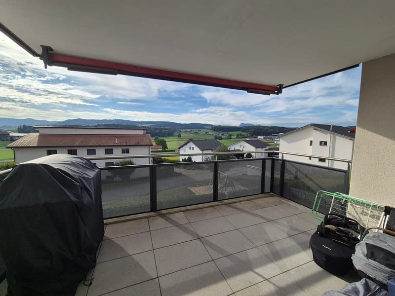 VILLAZ-ST-PIERRE / 3,5 pièces avec balcon et colonne de lavage (2)