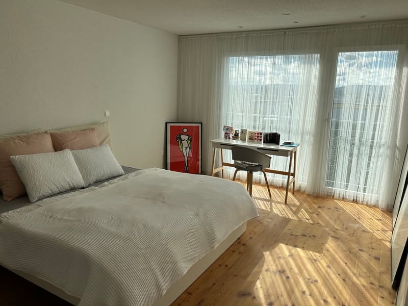 Helles und grosszügiges WG-Zimmer mit wunderschöner Aussicht (1)