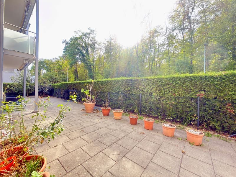 Grosszügige 4.5-Zimmer-Gartenwohnung mit 100 m² Aussenbereich in Bülach (2)