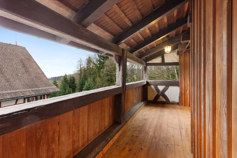 Idyllic living in Berg in the canton of St. Gallen (10)