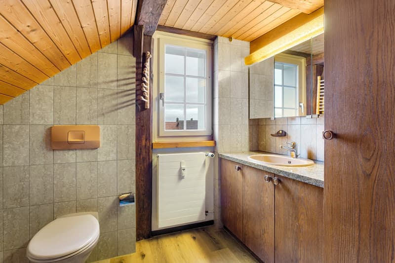 Idyllic living in Berg in the canton of St. Gallen (9)