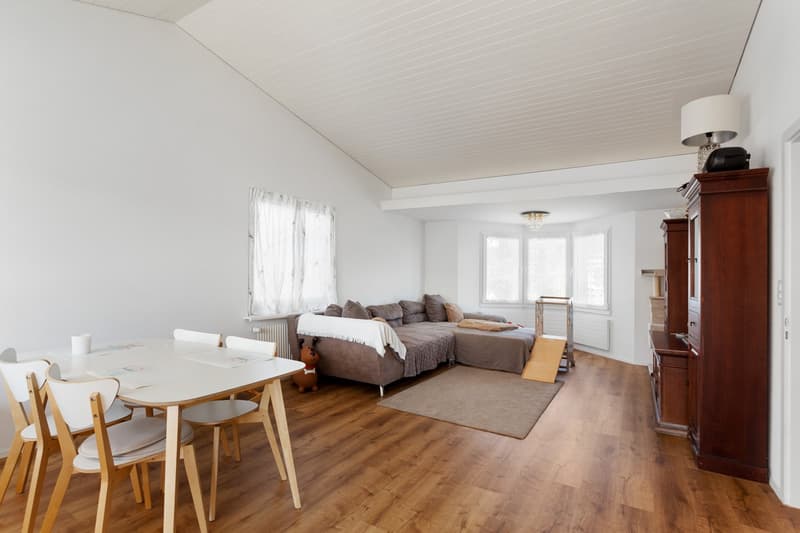 Stylish single-family home in the countryside (bank-approved) (5)