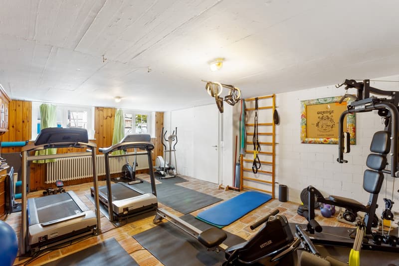 Home gym with treadmills, weight bench, pull-up bar, yoga mats, and various exercise equipment