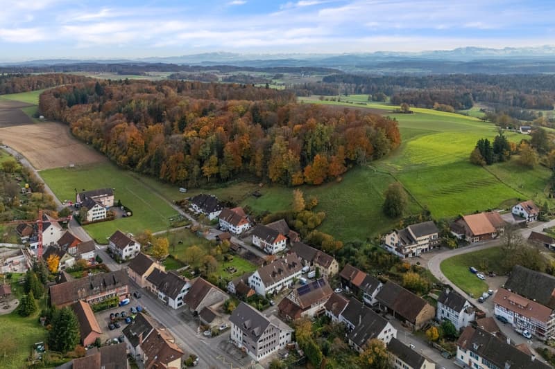 Aerial view of a village with houses, green fields, trees, and a road with cars parked