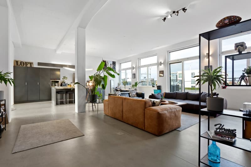 open space living room with large windows, concrete floor, brown sofa, rug, plants, kitchen island, bar stools