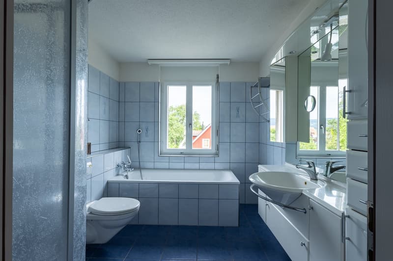 Rêve de 4,5 pièces à Steckborn – Jardin d'hiver, cheminée & soleil du soir (10)