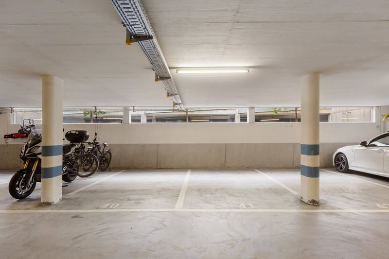Exklusive 4.5-Zimmer-Gartenwohnung viel Raum, viel Grün, viel Licht, viel Privatsphäre (20)