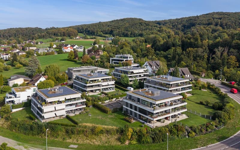 Exklusive 4.5-Zimmer-Gartenwohnung viel Raum, viel Grün, viel Licht, viel Privatsphäre (21)