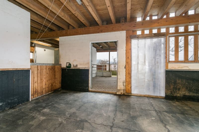 This image shows a large, open space with a wooden ceiling and beams. The space has a concrete floor and appears to be used as a garage or storage area. There is a large sliding glass door that leads to an outdoor area. The space also has some built-in wo