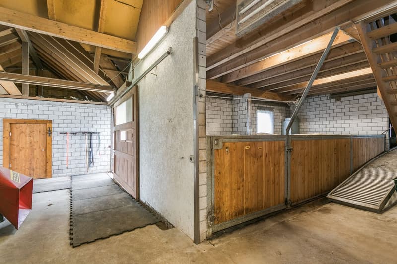 The image shows the interior of a garage or storage space. The space has a wooden ceiling with exposed beams, and the walls are made of white bricks. There are wooden doors and shelves along the walls, as well as some equipment and tools visible.