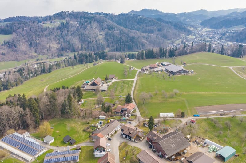 RURAL IDYLL NEAR ZURICH (2)