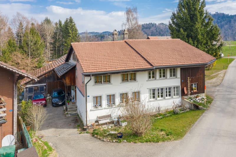 RURAL IDYLL NEAR ZURICH (11)