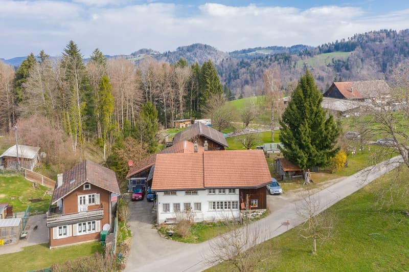 RURAL IDYLL NEAR ZURICH (1)