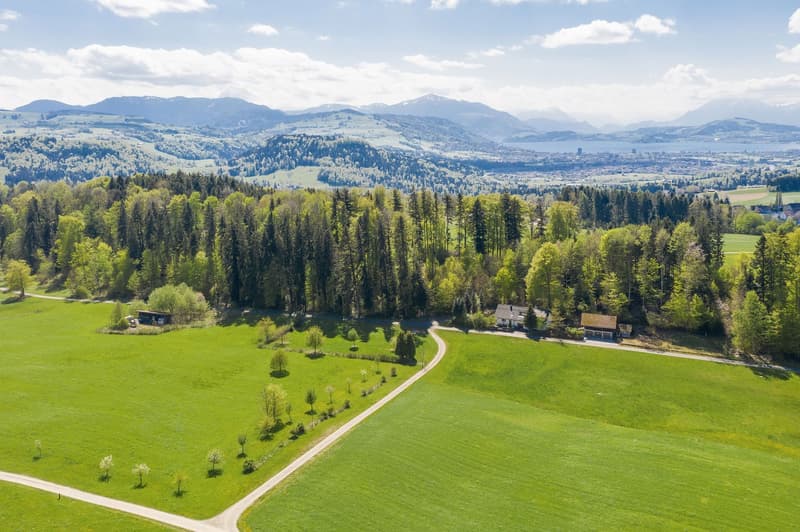 Idyllic nature with plenty of land, outbuilding & privacy – near Zug and Zurich (2)
