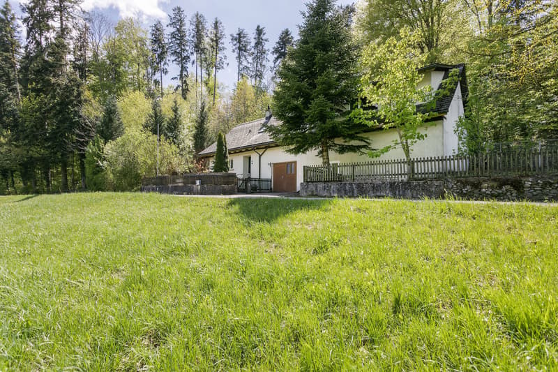 Idyllic nature with plenty of land, outbuilding & privacy – near Zug and Zurich (3)