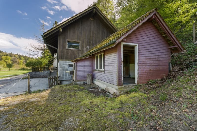 Idyllic nature with plenty of land, outbuilding & privacy – near Zug and Zurich (14)