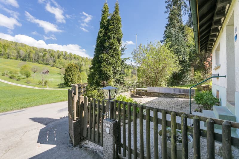 Idyllic nature with plenty of land, outbuilding & privacy – near Zug and Zurich (4)