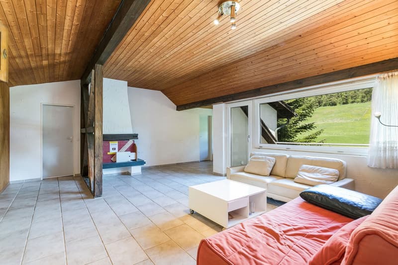 Idyllic nature with plenty of land, outbuilding & privacy – near Zug and Zurich (10)