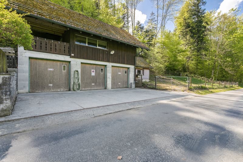 Idyllic nature with plenty of land, outbuilding & privacy – near Zug and Zurich (13)