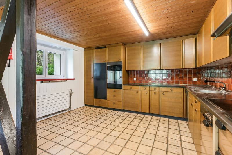 Idyllic nature with plenty of land, outbuilding & privacy – near Zug and Zurich (8)