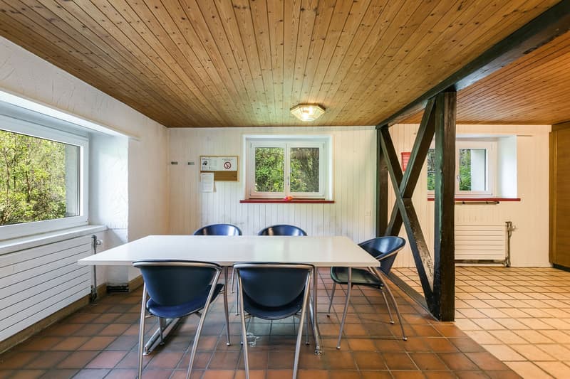Idyllic nature with plenty of land, outbuilding & privacy – near Zug and Zurich (7)