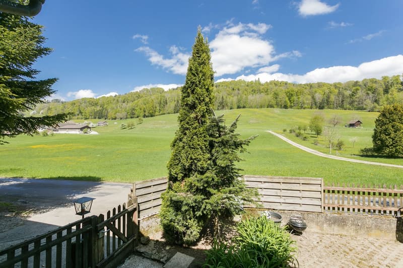 Idyllic nature with plenty of land, outbuilding & privacy – near Zug and Zurich (5)