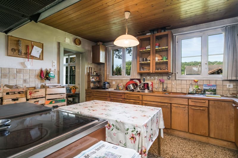 Charming residential house with a large plot (6)