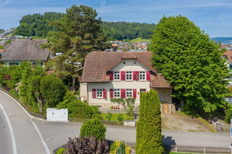 Charming residential house with a large plot (10)
