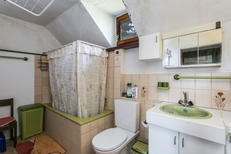 Charming residential house with a large plot (9)