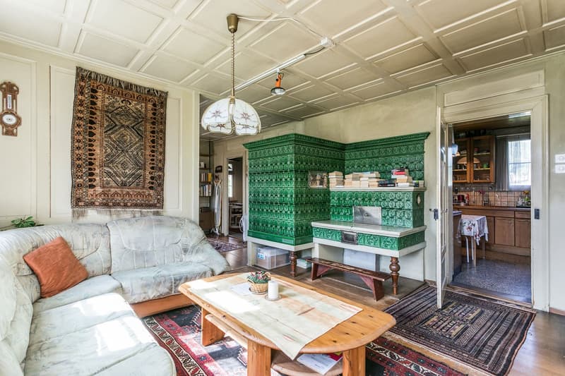Charming residential house with a large plot (4)