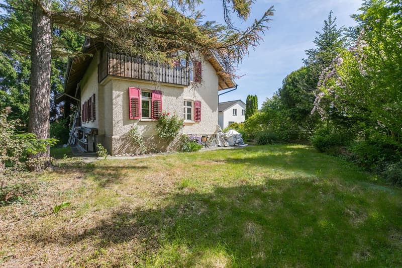 Charming residential house with a large plot (2)