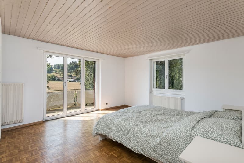 Grosses Einfamilienhaus mit Stall (3)