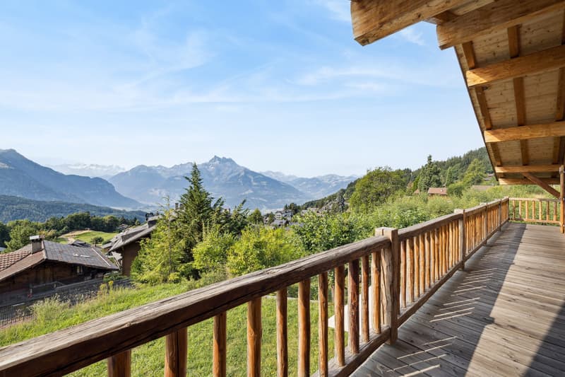 Elegant family chalet with panoramic views and terraced garden (4)