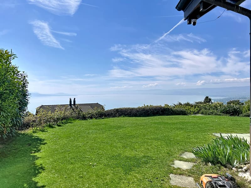 Le Panorama de Grandvaux (3)