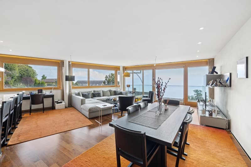 Turnkey apartment with 2 bedrooms, terrace, and panoramic view (3)