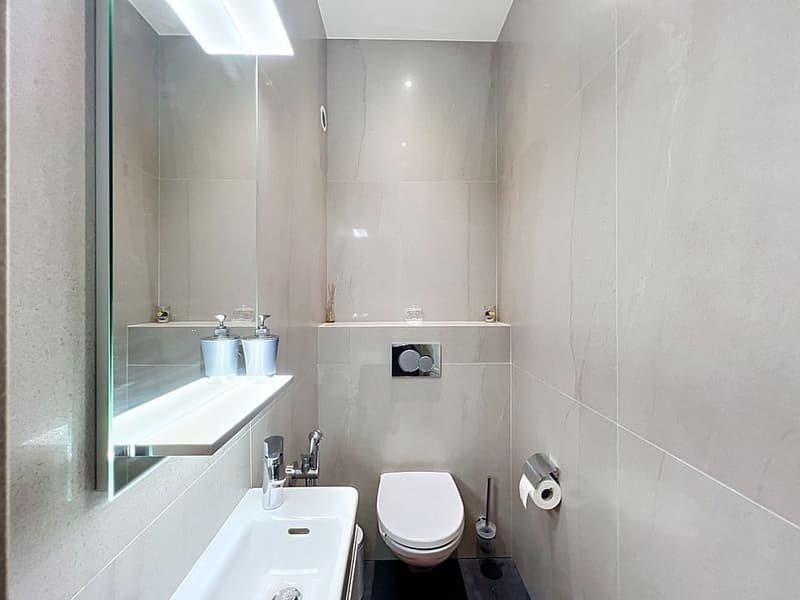 Furnished apartment in Territet (13)