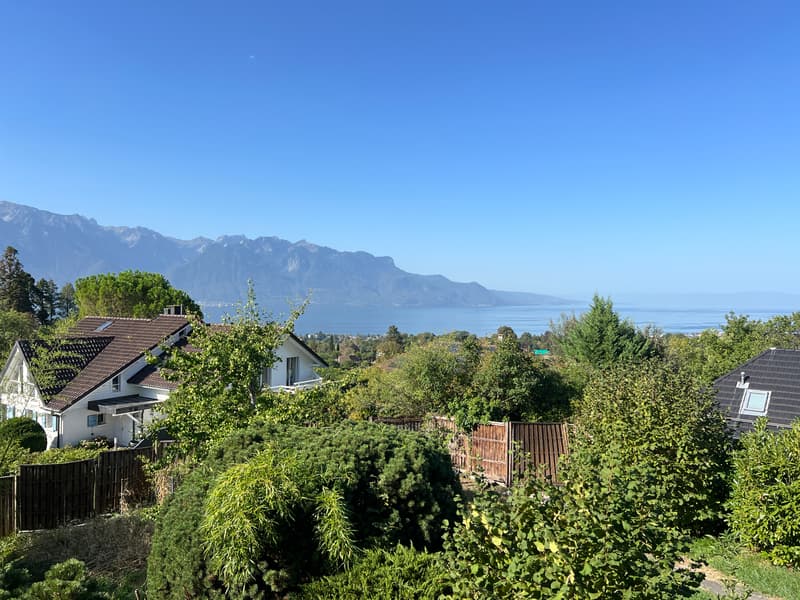 Superbe parcelle avec vue dégagée sur le lac à Blonay (2)