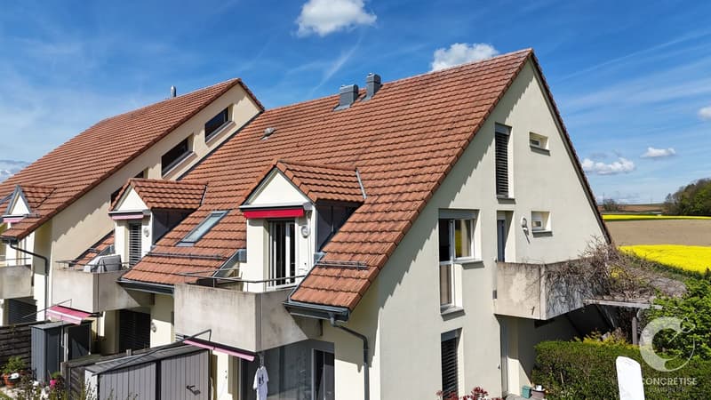 Duplex with garden and view of the Alps/Mont-Blanc - Daillens (1)