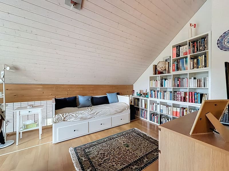 Duplex with garden and view of the Alps/Mont-Blanc - Daillens (8)