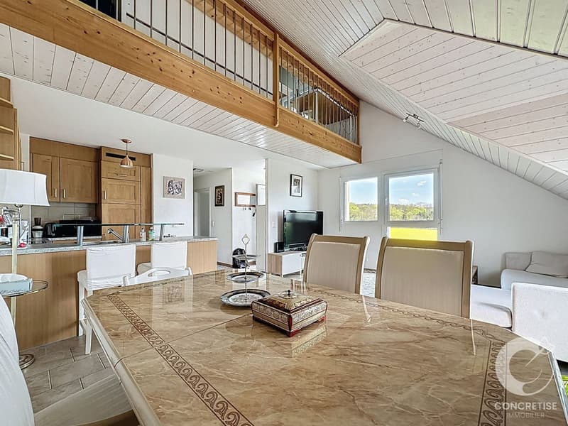 Duplex with garden and view of the Alps/Mont-Blanc - Daillens (4)