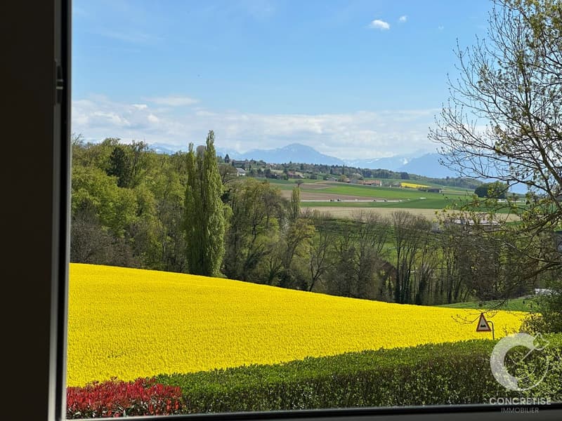 Duplex with garden and view of the Alps/Mont-Blanc - Daillens (11)