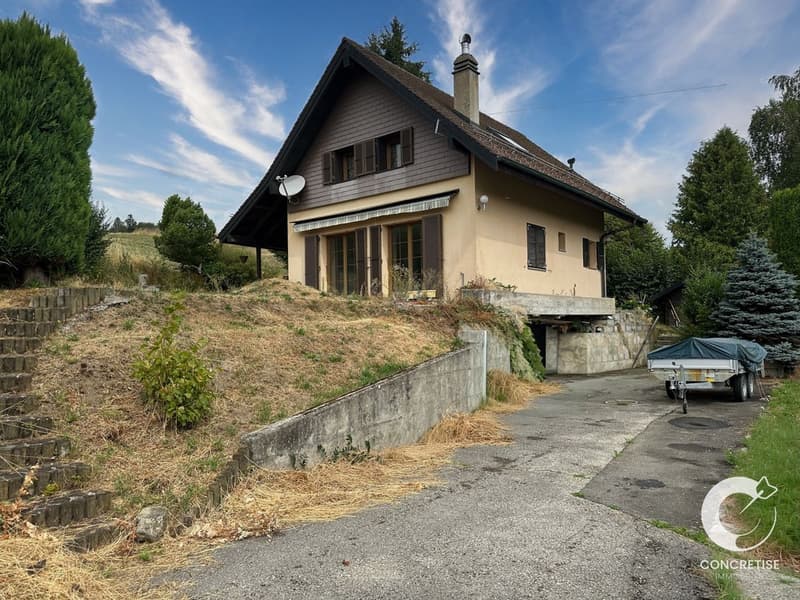 Villa individuelle à rénover (3)