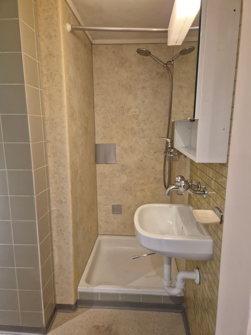 Appartement 1 pièce en centre-ville (5)