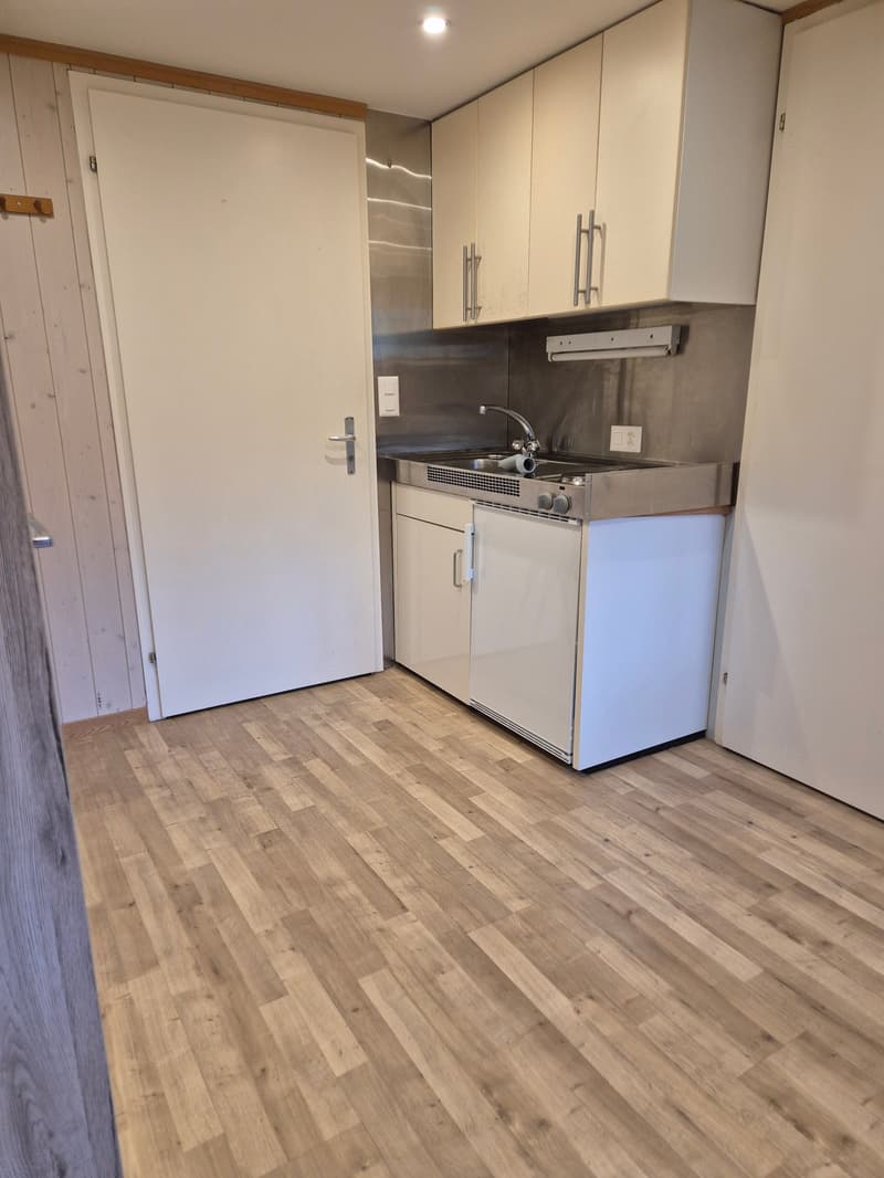 Appartement 1 pièce en centre-ville (1)